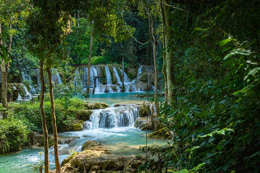 Luang Prabang Travel Guide - tad sae waterfall