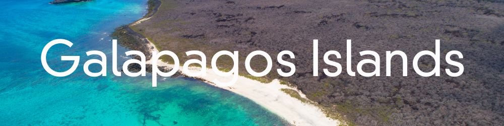 Galapagos Islands Information and articles