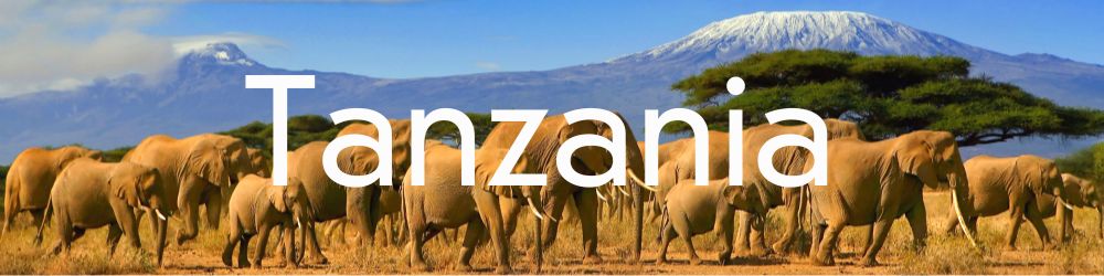 Tanzania Information and articles