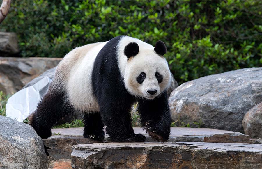 Adelaide Zoo