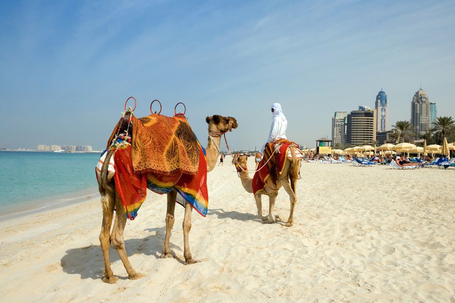 Incredible Tricks To Make Your Travel To Dubai Perfect 