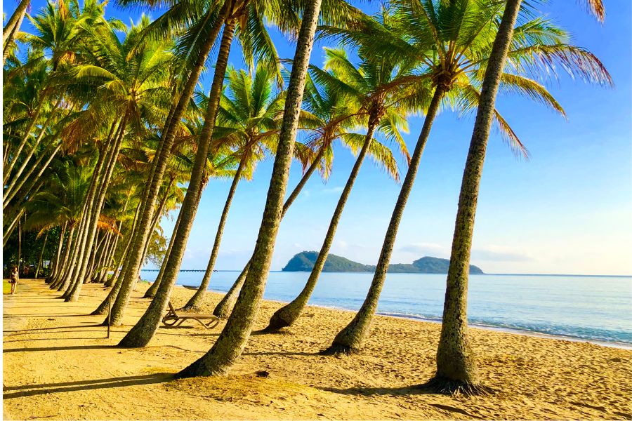 Cairns to Mossman Gorge - Palm cove Australia