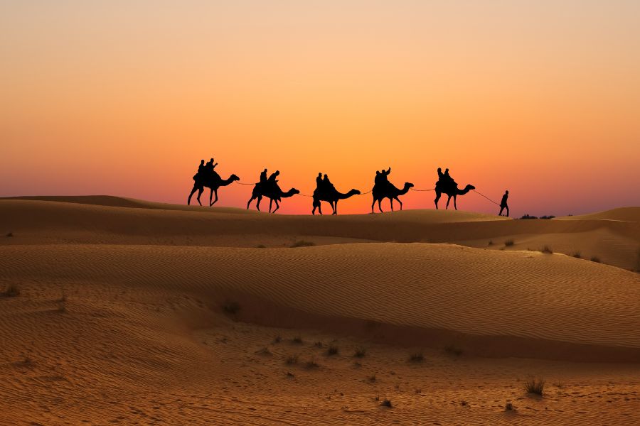 The 10 Most Thrilling Adventures You Can Have in Saudi Arabia - Camel Safari