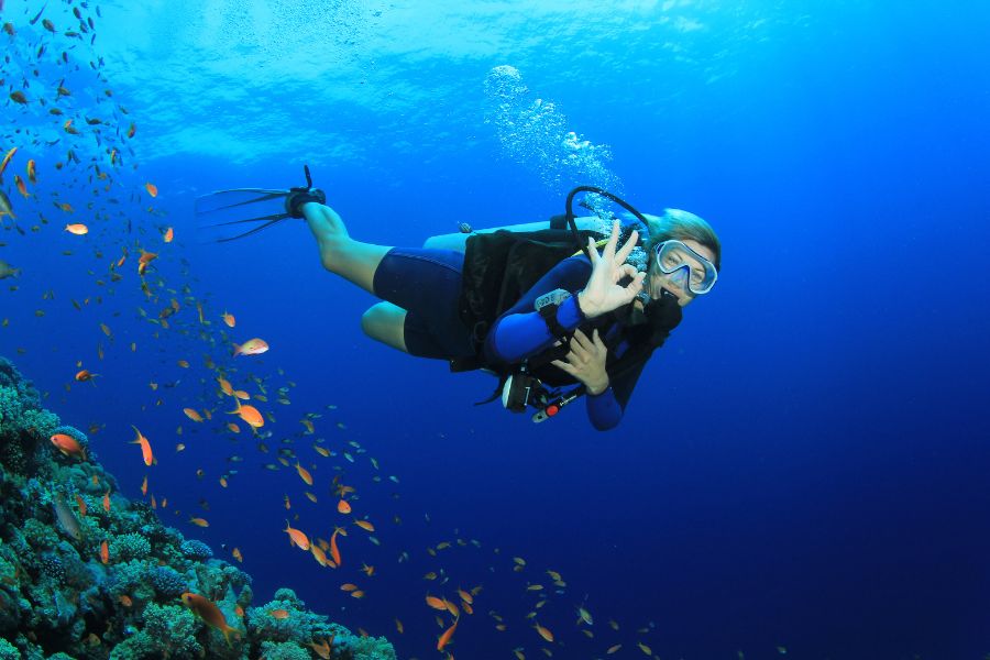 The Top 10 Maldives Dive Sites - Rainbow Reef