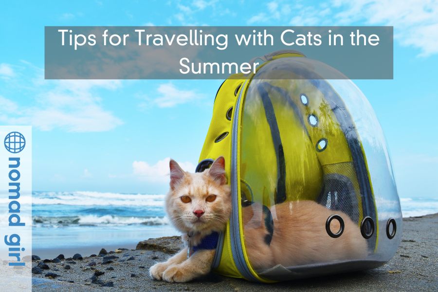 Tips for Travelling with Cats in the Summer