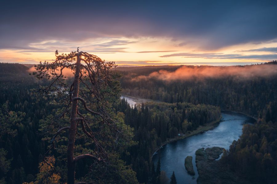 Europe's National Parks Top 18 - 12. Oulanka National Park