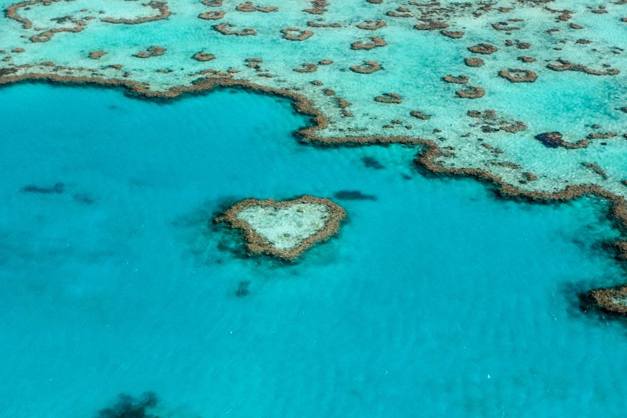 10 Incredible Things You Can Only Find in Australia - Great barrier reef