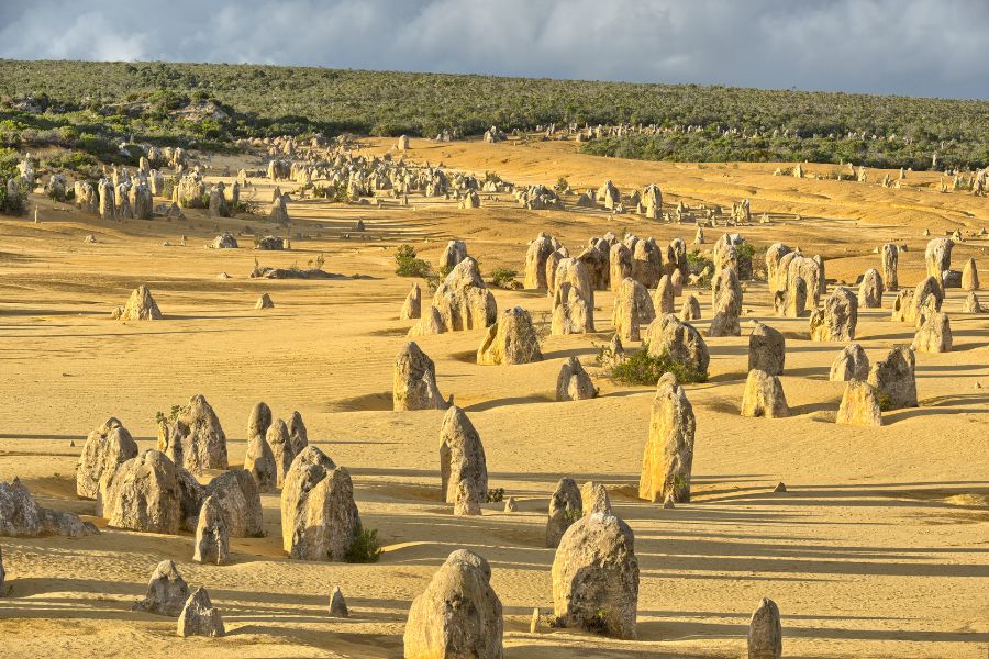 10 Incredible Things You Can Only Find in Australia - Nambung National Park