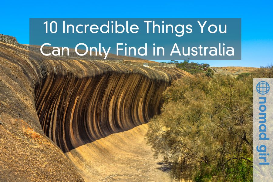 10 Incredible Things You Can Only Find in Australia