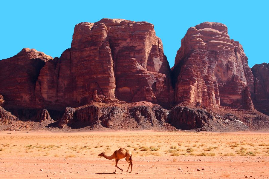 Planning Your Jordan Trip - Essential Tips For First-Time Visitors - Wadi Rum