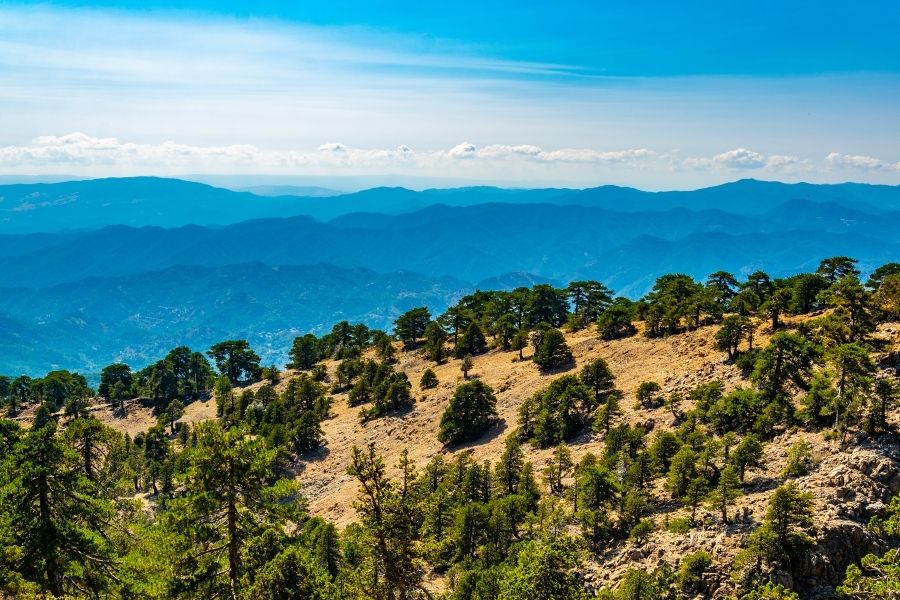 Troodos Mountains