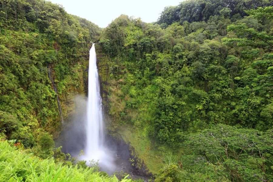 Touring Hawaii - Akaka Falls