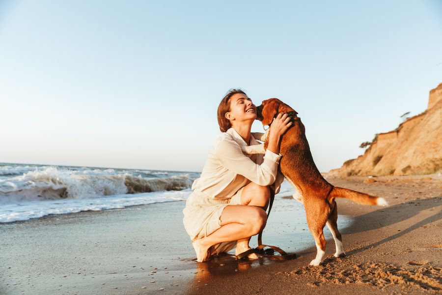 Beach walks with dog