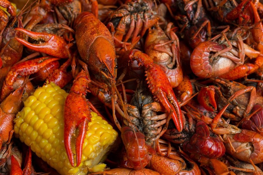 Louisiana food