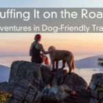 Ruffing It on the Road – Adventures in Dog-Friendly Travel