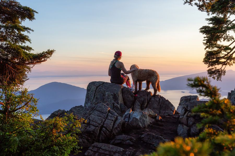 dog hiking