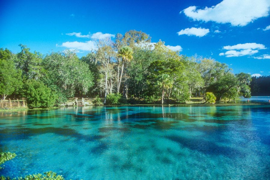 Springs of Central Florida