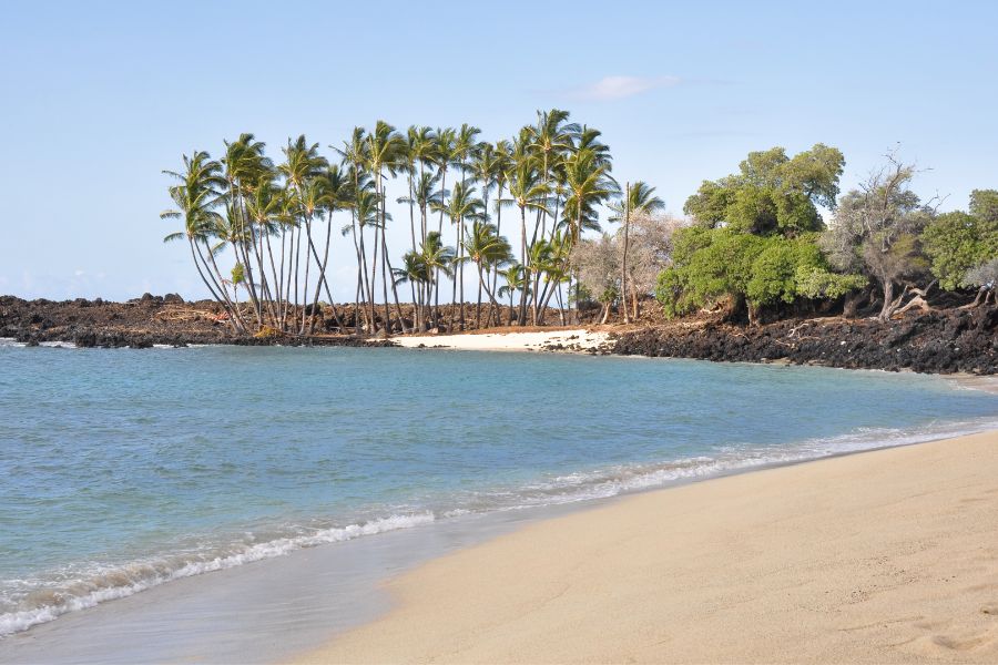 Florida's Most Instagrammable Beach Destinations - Caladesi Island State Park