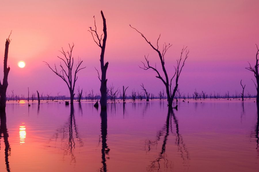 Relax on the Waterfront of Lake Mulwala