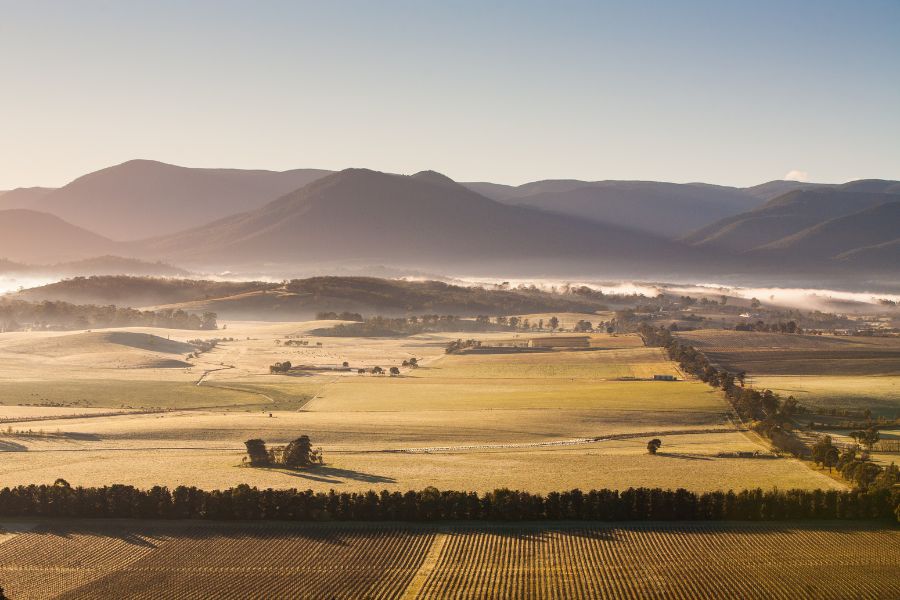 Wine Tourism in Australia - Yarra Valley