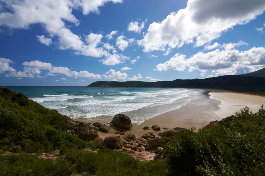 wilsons promontory national park