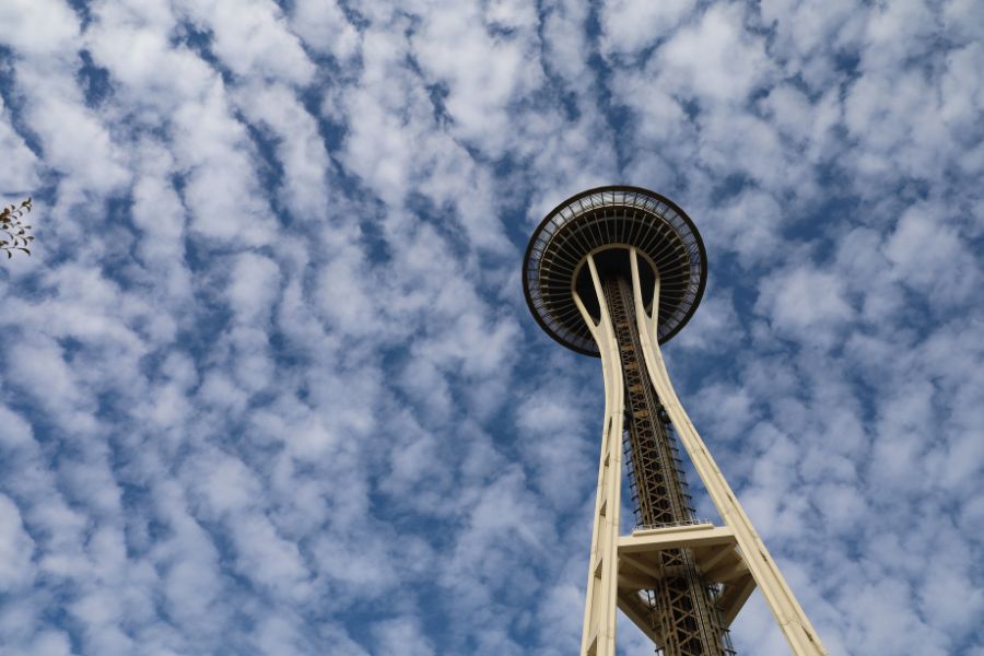 The Space Needle Seattle