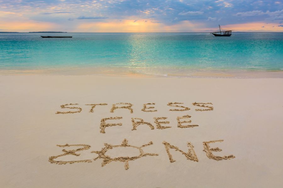 How to Plan a Stress-Free Vacation With Expert Tour Guidance