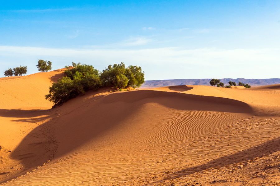Erg Chigaga dunes