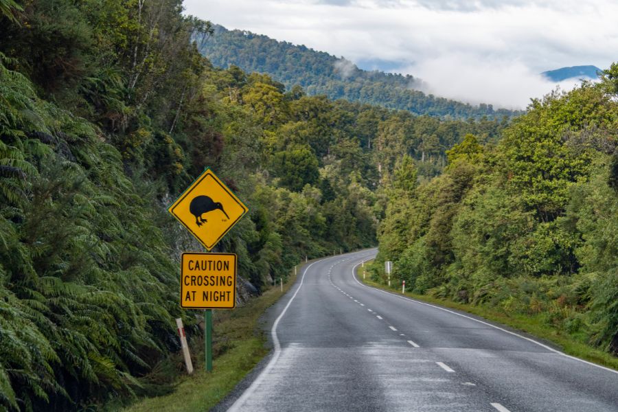 New Zealand Roads