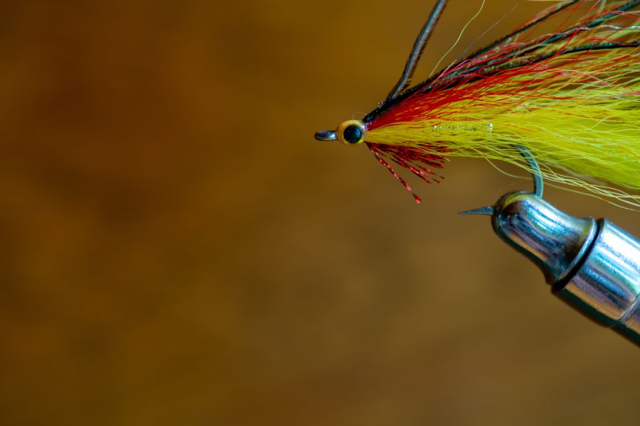 Fly Fishing Essentials 