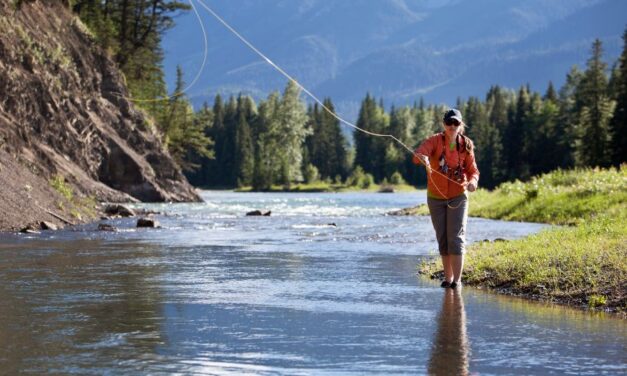 7 Fly Fishing Essentials for Your Next Nature Adventure